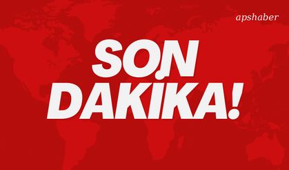 Rusya'da Yolcu Uçağı Düştü: 49 Kişi Hayatını Kaybetti