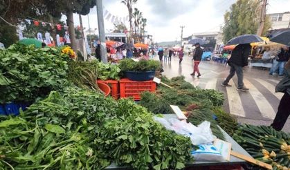 Acı Ot Festivali'ni Sağanak Yağmur Vurdu