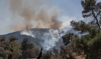 İzmir’in orman yangını risk haritası hazır