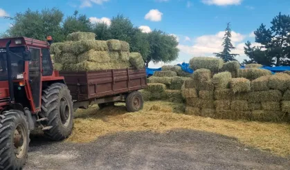 Kayseri Talas'tan üreticiye yem desteği