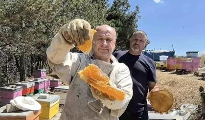 İnegöl’de kara kovan balına yoğun talep