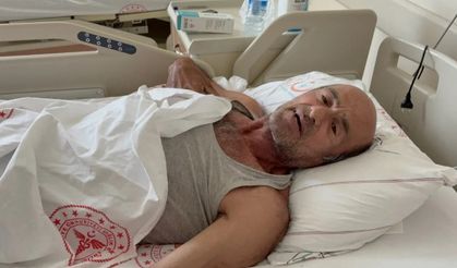 Sakarya’da ayı saldırısından ağaca tırmanarak kurtuldu