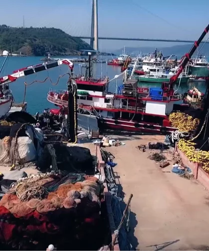 Hamside rekor sezon... 245 bin ton avcılıkla bereketli kapanış