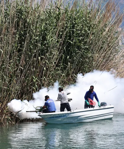 Antalya'da denizden karaya ilaçlama yapılıyor