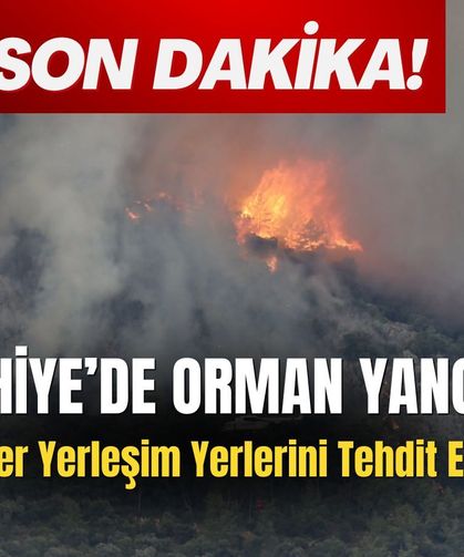 Fethiye’de Orman Yangını: Alevler Yerleşim Yerlerini Tehdit Ediyor