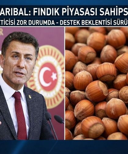 CHP'li Sarıbal: Fındık piyasası sahipsiz bırakılamaz