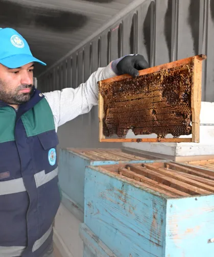 Manisa'da arıcıların peteklerine eksi 30 derecelik koruma
