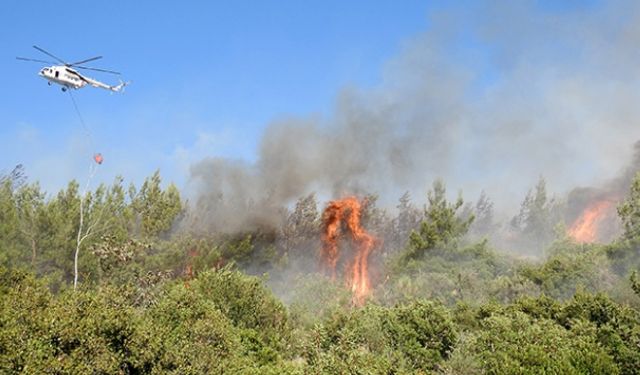 İzmir'in üç ilçesinde orman yangını