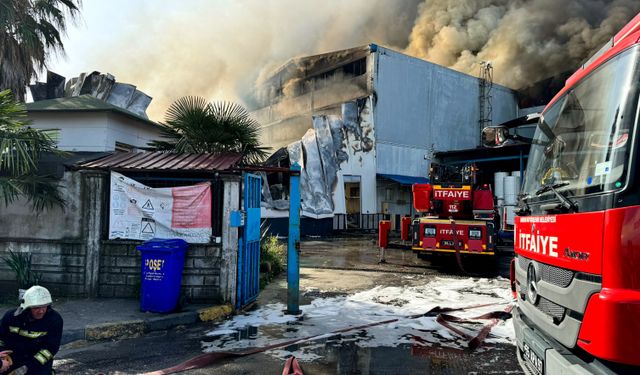 Samsun'da fabrika yangını