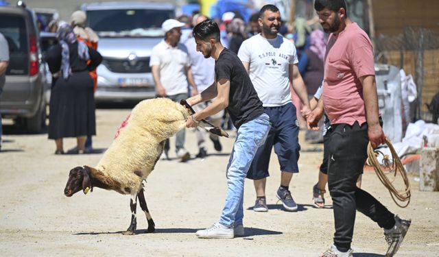 Ankara'da kurban pazar yerlerinde ilk gün yoğunluğu