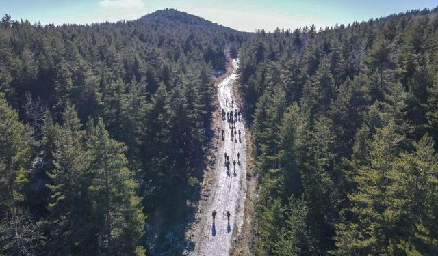 Ankara'da ormanlık alanlara girişler  yasaklandı