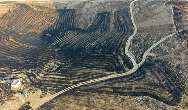 Diyarbakır'daki yangının boyutu gün ağırınca ortaya çıktı