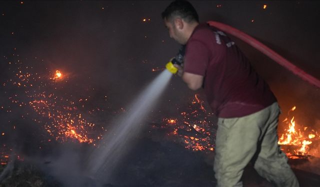 İzmir'deki yangın kontrol altına alındı