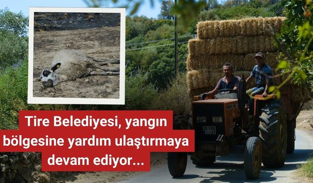 Tire Belediyesi, yangın bölgesine yardım ulaştırmaya devam ediyor