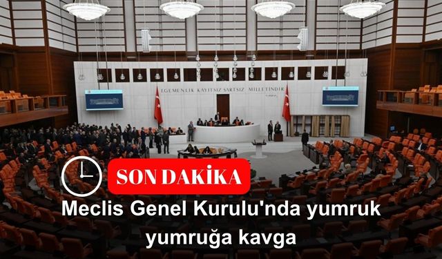 Meclis Genel Kurulu'nda yumruk yumruğa kavga