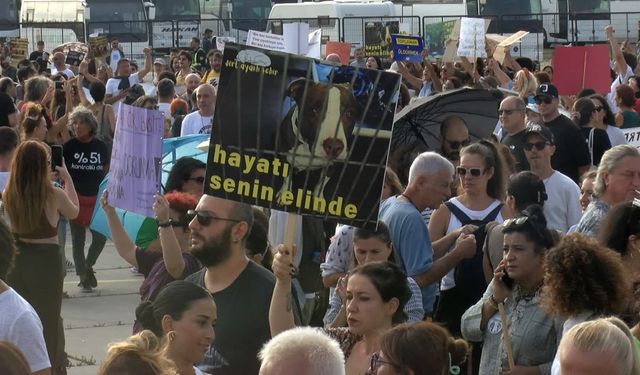 Yenikapı'da sokak hayvanları yasa teklifi protesto edildi