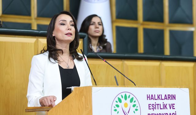 Hatimoğulları: DEM Parti zaten bir Türkiye partisi