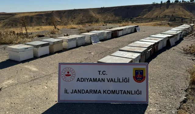 Adıyaman'da arı kovanlarını çalan şahıs yakalandı!