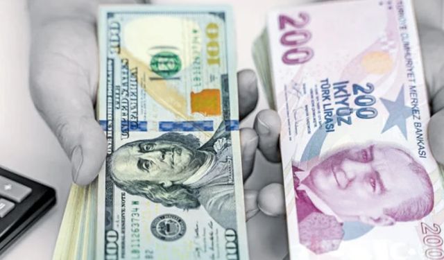 Dolar/TL'de bu sabah rekor tazeledi