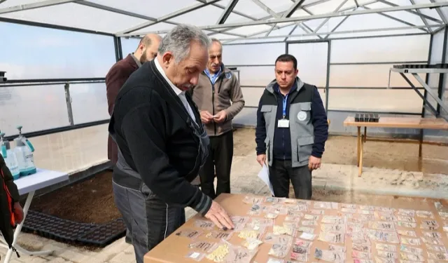 Kayseri Talas'ta tulum eşliğinde tohum şenliği