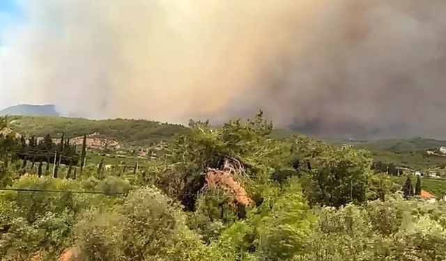 İzmir’de Orman Yangınına Yoğun Müdahale