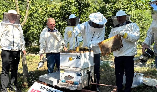 Çaycuma’da Kestane Balı hasadı coşkuyla gerçekleştirildi