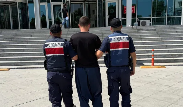 20 günde 61 orman yangınıyla ilgili 23 gözaltı!