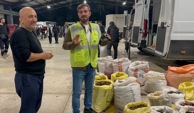 Düzce'nin tescilli lezzeti kuzu kestanesi pazara indi!