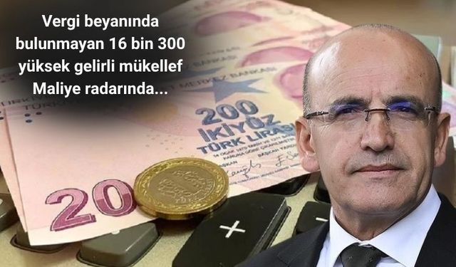 Vergi beyanında bulunmayan 16 bin 300 yüksek gelirli mükellef Maliye radarında
