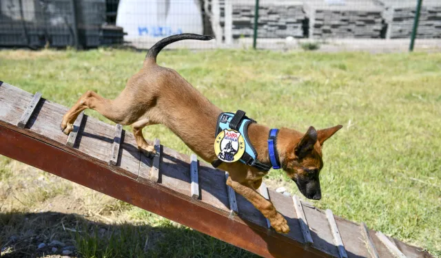 K9 ekipleri Başkent'te 7/24 görevde