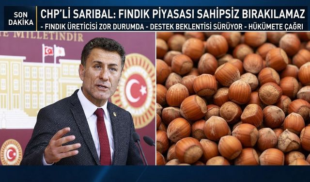 CHP'li Sarıbal: Fındık piyasası sahipsiz bırakılamaz