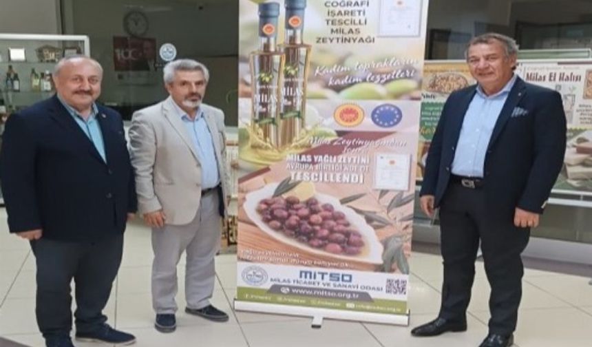 Coğrafi işaretli Milas zeytini 'Hasat Şenliği'nde taçlandı