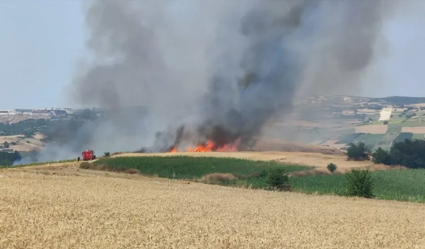 Bursa İnegöl'de ekili tarlalarda yangın çıktı