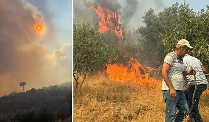 Aydın'daki orman yangını ikinci gününde... Alevlerle mücadele sürüyor!