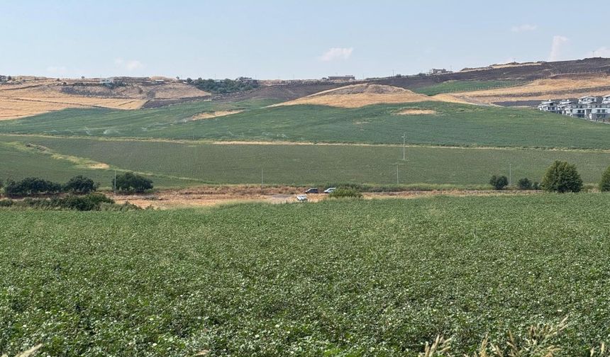 Kayıp Narin'den acı haber