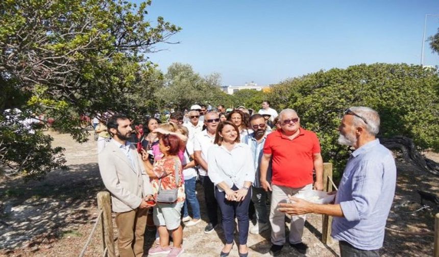 Çeşme'den sakız damlıyor