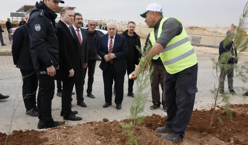 Mardin Yeşilli OSB’de binlerce ağaç toprakla buluştu