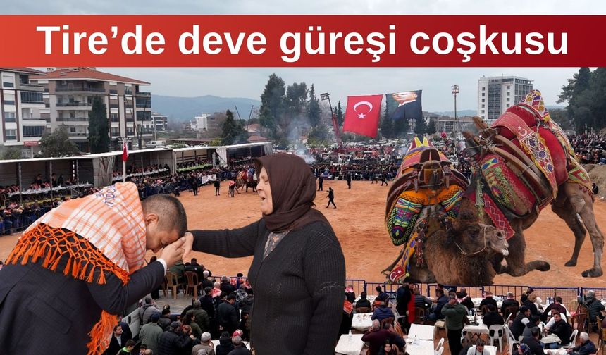 Tire’de deve güreşi coşkusu