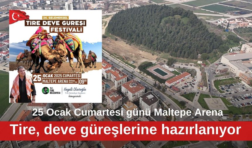 Tire, deve güreşlerine hazırlanıyor