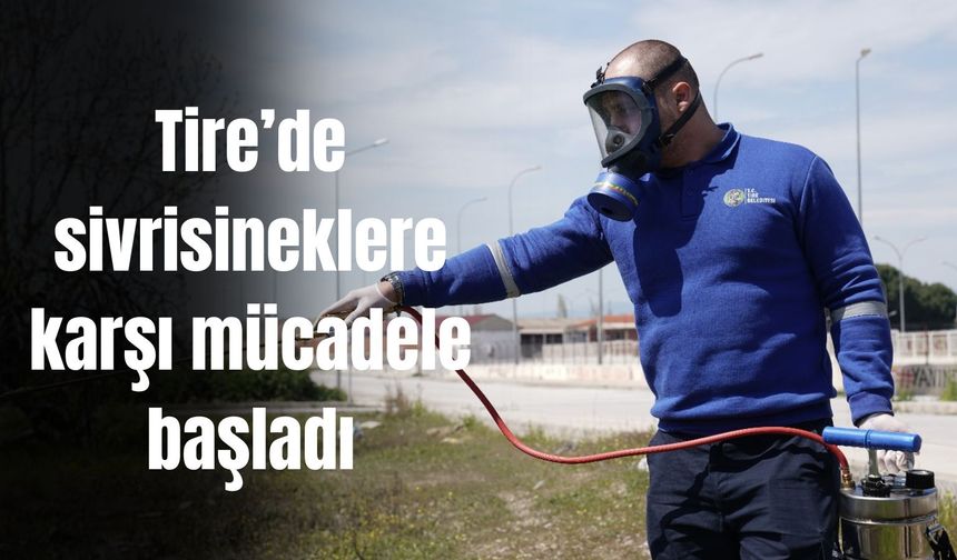 Tire’de sivrisineklere karşı mücadele başladı