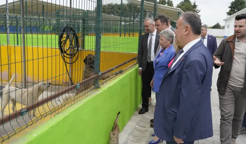CHP'li Yontar'dan Çorlu'da 'Hayvan Bakım Evi'ne ziyaret