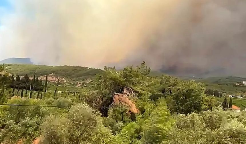 İzmir’de Orman Yangınına Yoğun Müdahale