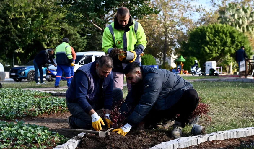 Antalya Muratpaşa'da Trafik Parkı çiçek bahçesine dönüştü