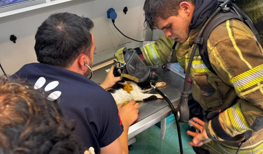 İzmir'de itfaiyeden can dostlara kahramanca müdahale