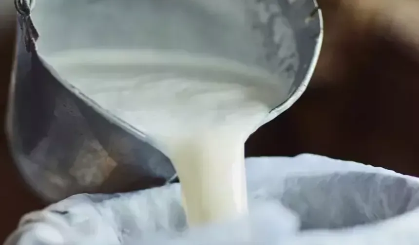 İçme sütü ve tereyağında düşüş... Ayran ve kefir üretimi arttı