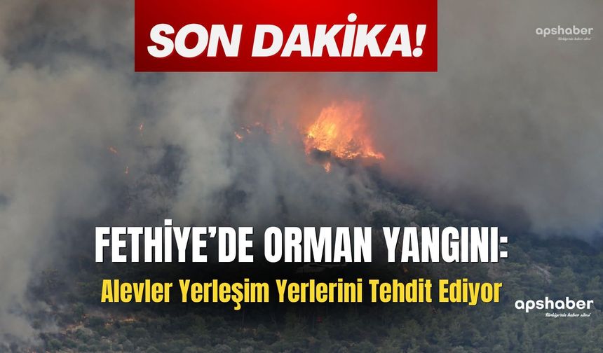 Fethiye’de Orman Yangını: Alevler Yerleşim Yerlerini Tehdit Ediyor