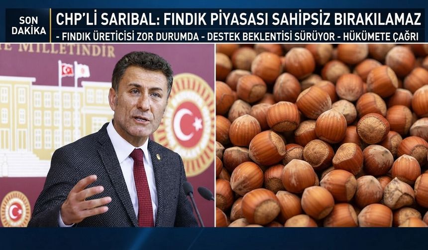 CHP'li Sarıbal: Fındık piyasası sahipsiz bırakılamaz