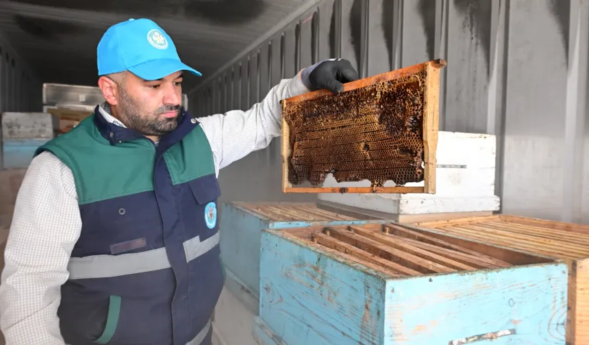 Manisa'da arıcıların peteklerine eksi 30 derecelik koruma